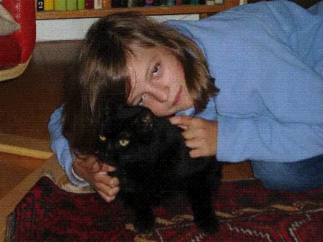 Blanding af racer Muller *RIP* - Det er mig og bimmer på billedet billede 4