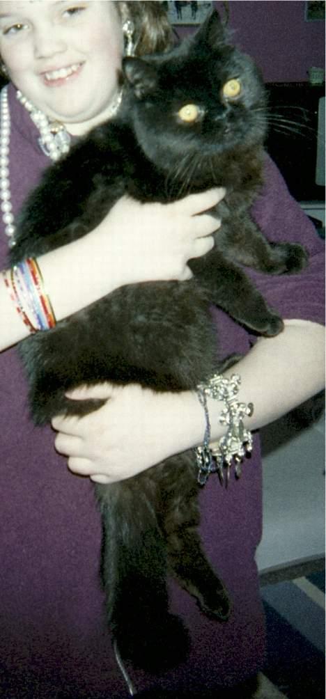 Exotic Mulle billede 6