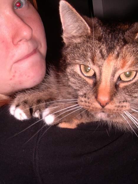 Blanding af racer isis billede 3