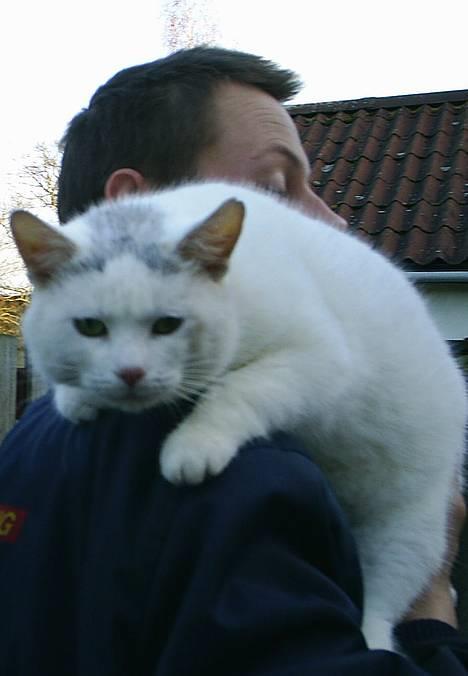 Huskat Max  - Jyden holder mig lige  billede 1