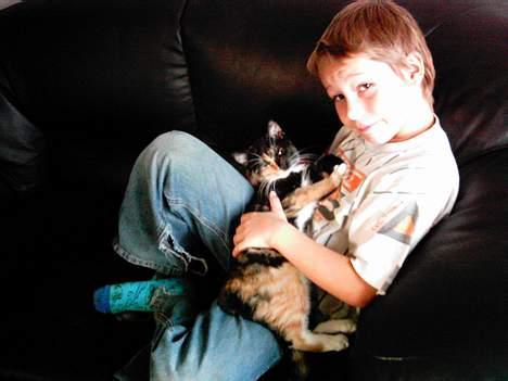 Blanding af racer tulle billede 6