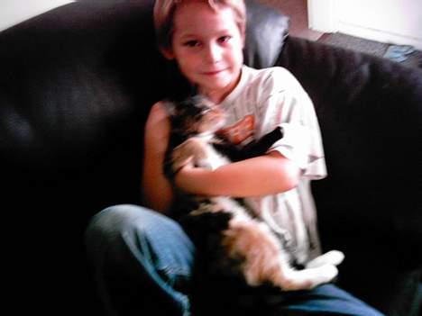 Blanding af racer tulle billede 7