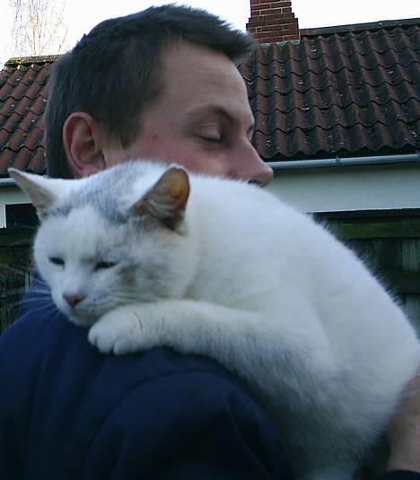 Huskat Max  - Hænger lige på min far  billede 6