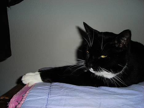 Huskat Lille Lis - Lille Lis er lige vågnet billede 6