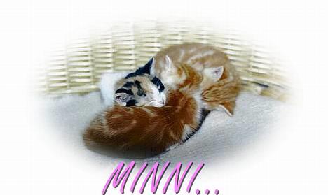 Blanding af racer Minni - Har selv lavet designet=O) billede 1