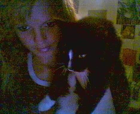 Blanding af racer Lille mus... billede 9