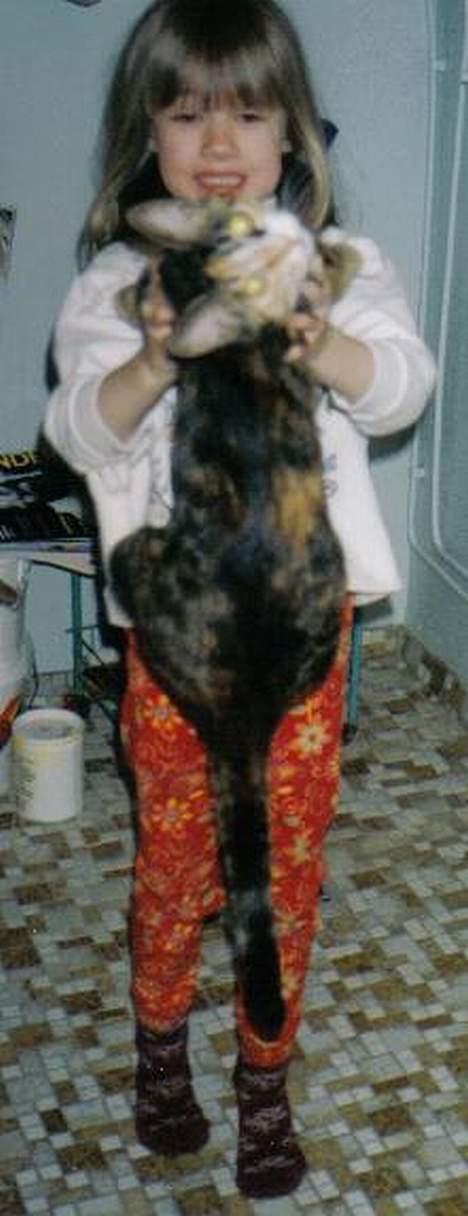 Europé katasja billede 9