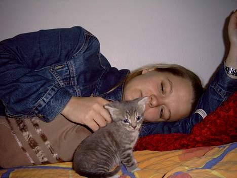 Blanding af racer Bounty billede 6