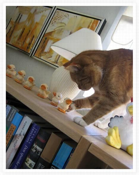 Blanding af racer Mille - R.I.P. - Væk med det! billede 4