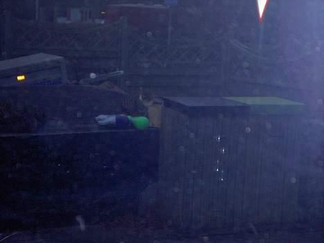 Blanding af racer Sumertime - Det er meget utydeligt da billedet er blevet taget indenfor..  Og har desvære ikke flere billeder men det kan jeg få.. billede 2