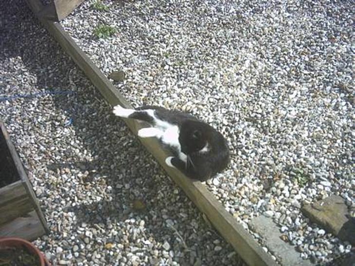 {{currentPhoto.altText}} billede {{currentPhoto.number}}