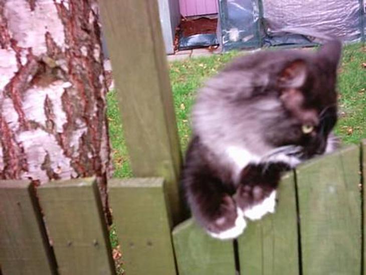 {{currentPhoto.altText}} billede {{currentPhoto.number}}