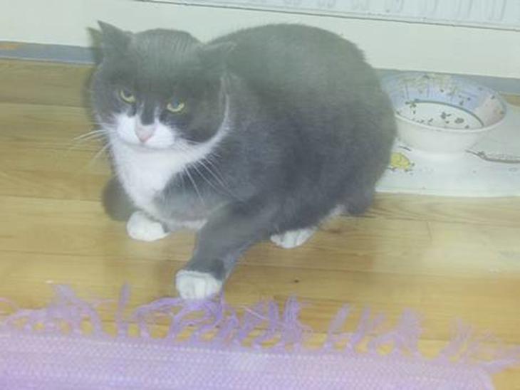 {{currentPhoto.altText}} billede {{currentPhoto.number}}