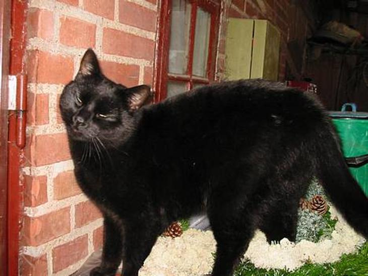 {{currentPhoto.altText}} billede {{currentPhoto.number}}