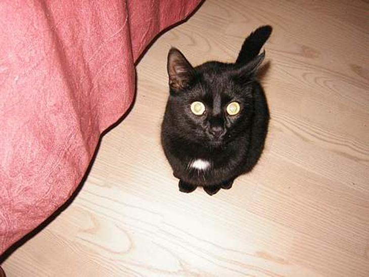 {{currentPhoto.altText}} billede {{currentPhoto.number}}