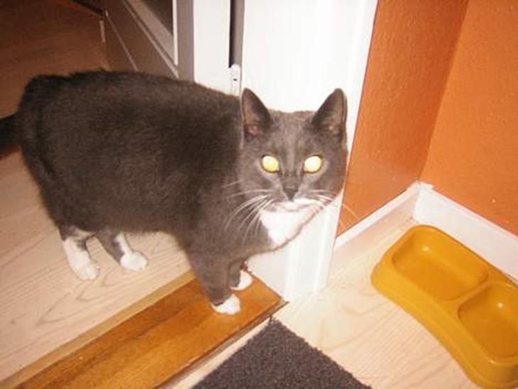 {{currentPhoto.altText}} billede {{currentPhoto.number}}