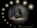 Huskat MISSEPIGE R.I.P <3<3<3