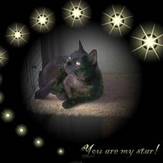 Huskat MISSEPIGE R.I.P <3<3<3