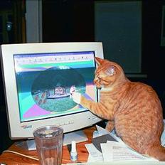 Blanding af racer Ib