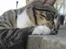 Huskat † Hegnsholt's Simba <3 † - "aarh, er for doven til at rejse mig efter stenen, så måske kan jeg nå den imens jeg ligger ned?" hihi <3 (26. april 2007)
