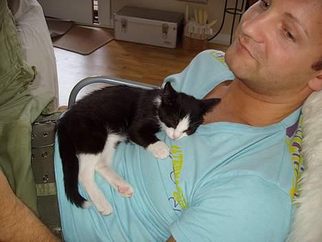 Huskat Ozzi - Jeg kan også godt putte lidt med far. billede 4