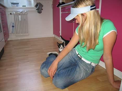 Huskat Kitler - Mine første minutter i mit nye hjem. billede 6