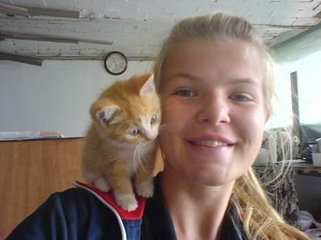 Huskat Pom-Pom - Bettemissen og jeg billede 2