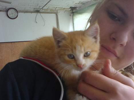 Huskat Pom-Pom - Og igen Pomse og jeg billede 3