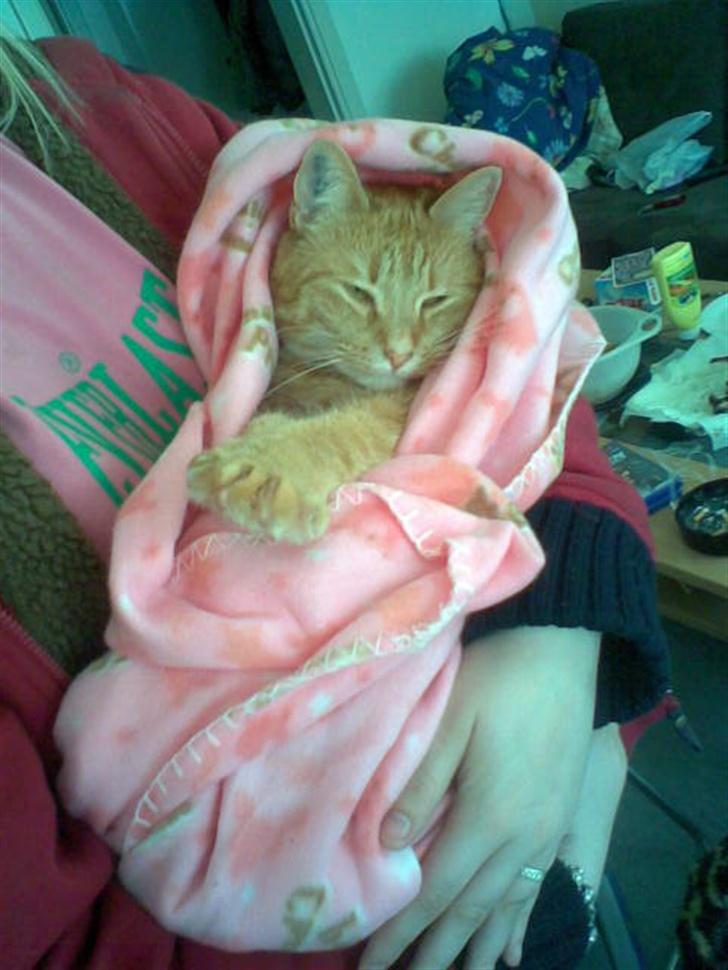 Huskat Anthon - Gaaab!  billede 13