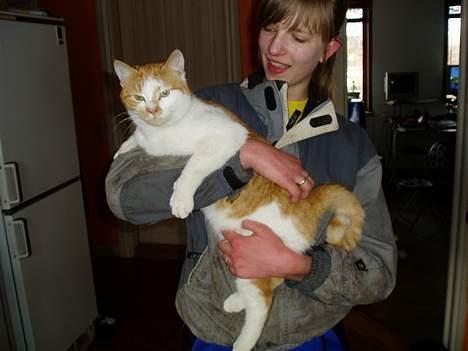 Huskat Katmissen †død† - Evt. en gris...?  billede 5