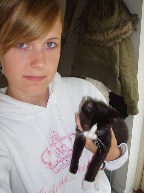 Huskat Dolce/dolf billede 5