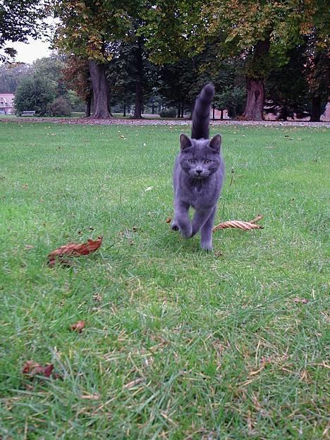 Huskat Tarzan <3 *savner dig*  - Fuld fart.. billede 2