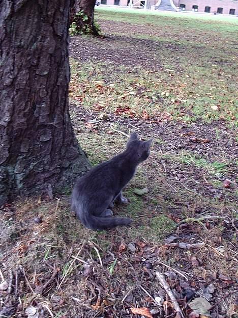 Huskat Tarzan <3 *savner dig*  billede 16