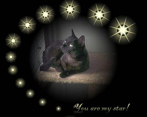 Huskat MISSEPIGE R.I.P <3<3<3 billede 1