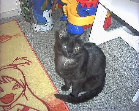 Huskat MISSEPIGE R.I.P <3<3<3 billede 2