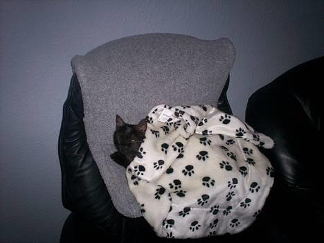 Huskat MISSEPIGE R.I.P <3<3<3 billede 3