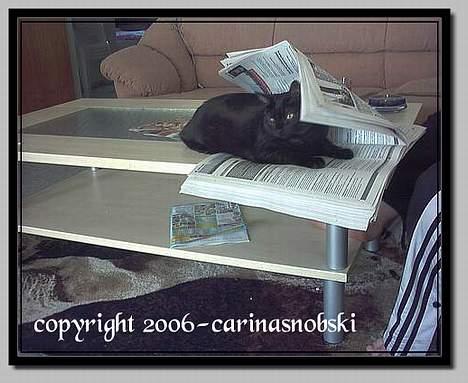 Huskat MISSEPIGE R.I.P <3<3<3 billede 6