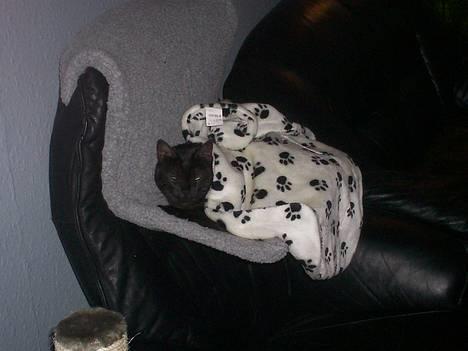 Huskat MISSEPIGE R.I.P <3<3<3 billede 9