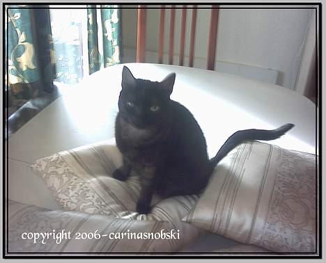 Huskat MISSEPIGE R.I.P <3<3<3 billede 13