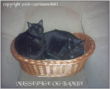Huskat MISSEPIGE R.I.P <3<3<3 billede 14