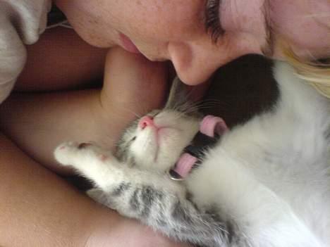 Huskat Freja billede 4