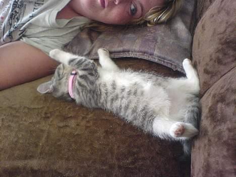 Huskat Freja billede 5