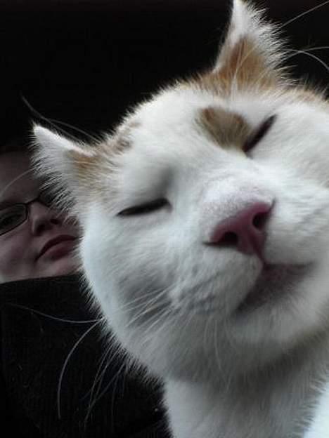 Huskat Bølle (ejerskifte) - Bølle og mig billede 9