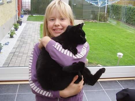 Huskat oliver - altser lad lige hver med det  billede 2