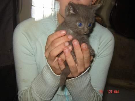 Huskat Poundus <33 - Er hun ikke kær ? (:  billede 1