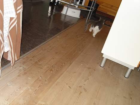 Huskat Kelly - ARGH!! Der var en Isabella!!!!!! billede 13