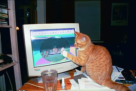 Blanding af racer Ib - Ib er skrap til skærmarbejde - her får museskader en ny betydning...!!! billede 1