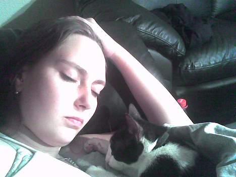 Huskat Speedy er her ikke mere - tager lige en "morfar" med mor billede 10