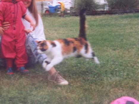 Blanding af racer Nanna - den lille pige til venstra er mig!. og jeg er altså 15 nu.. heh.. 1995 billede 17