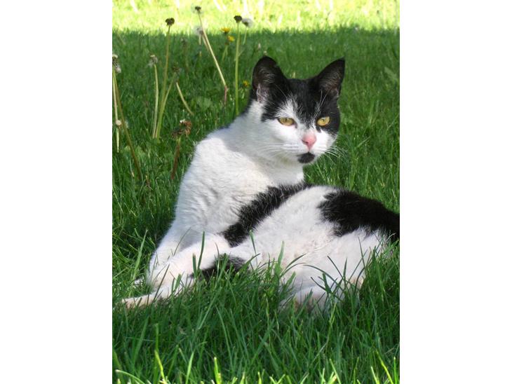 {{currentPhoto.altText}} billede {{currentPhoto.number}}